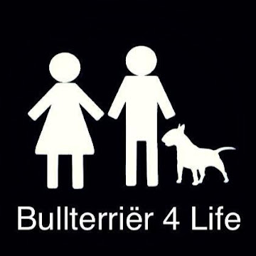 Foto de perfil de Alberto Márquez González