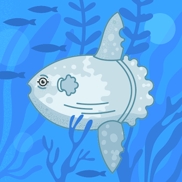 Foto de perfil de Szandra Tóth-Fülöp