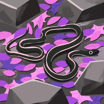 Profile photo of Angel Torres