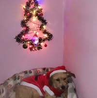 Foto de perfil de Zaida Sànchez